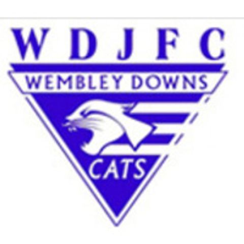 Wembley Downs Cats logo